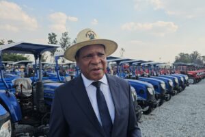 Matabeleland farmers urged to prioritise traditional grains