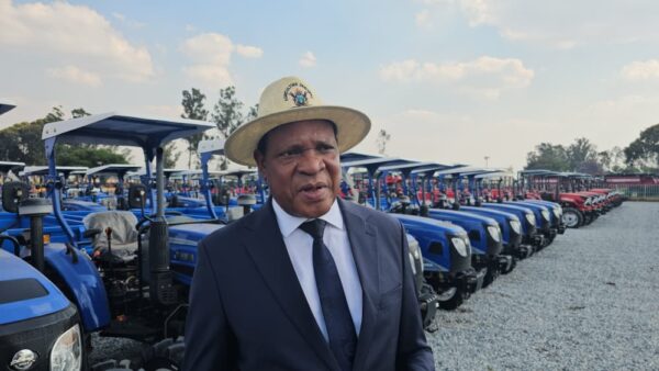 Matabeleland farmers urged to prioritise traditional grains