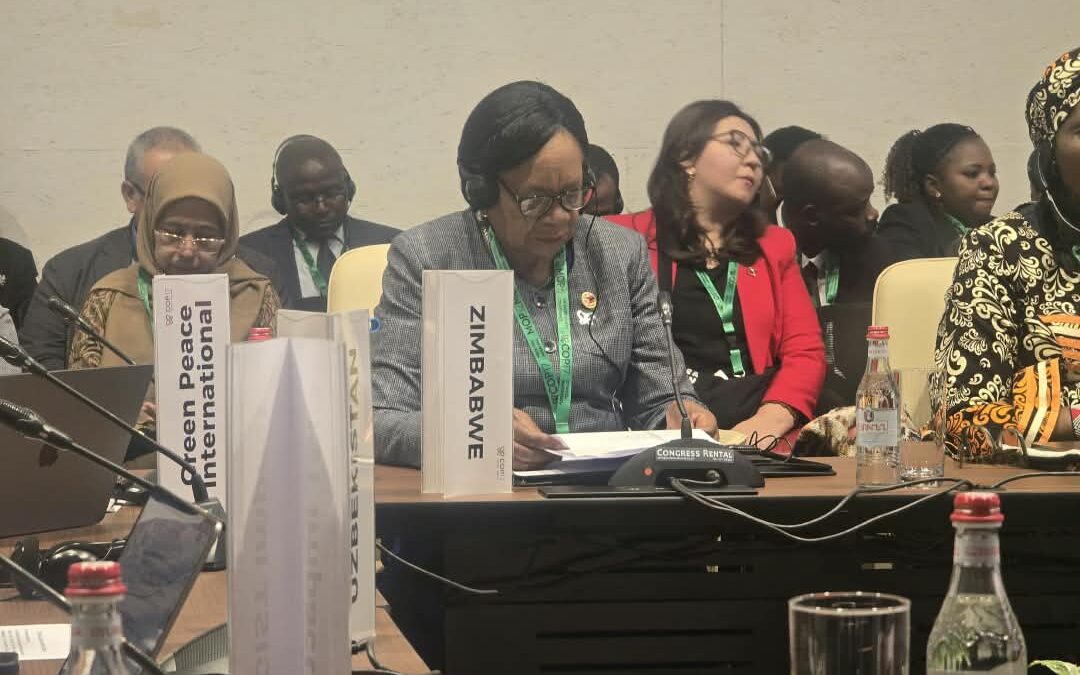 President Mnangagwa calls for fair financing for biodiversity
