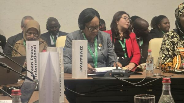 President Mnangagwa calls for fair financing for biodiversity