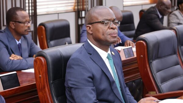 WATCH: Green industrialisation takes centre stage at COMESA summit