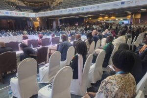 COMESA Summit roars to life
