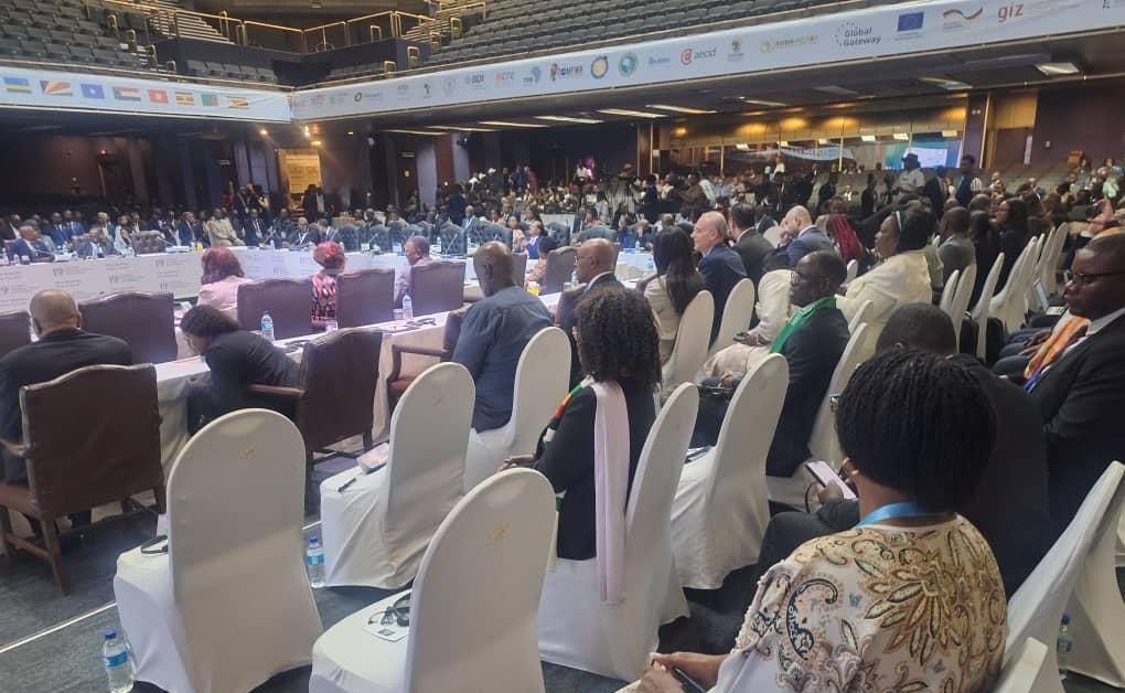 COMESA Summit roars to life