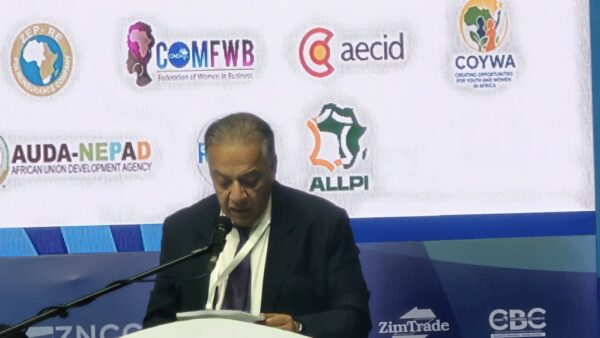 Green industrialisation key to global trade — Gabaly