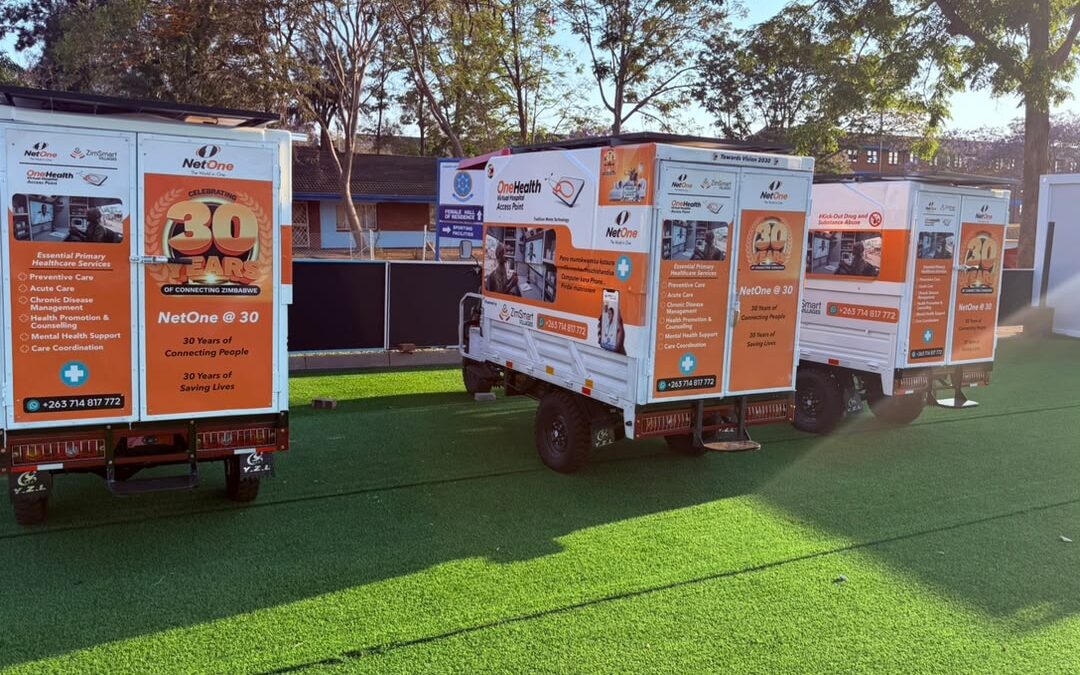 NetOne health investment earns Presidential commendation