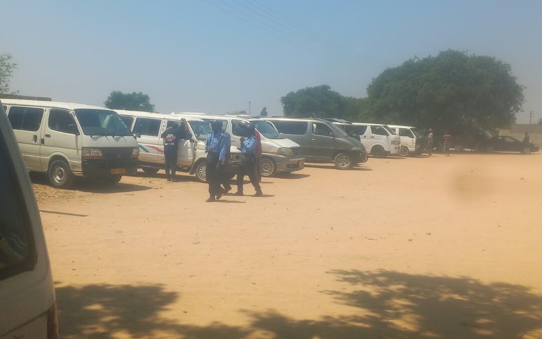 Dingumuzi Rank comes to life