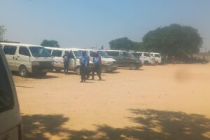 Dingumuzi Rank comes to life