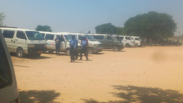 Dingumuzi Rank comes to life
