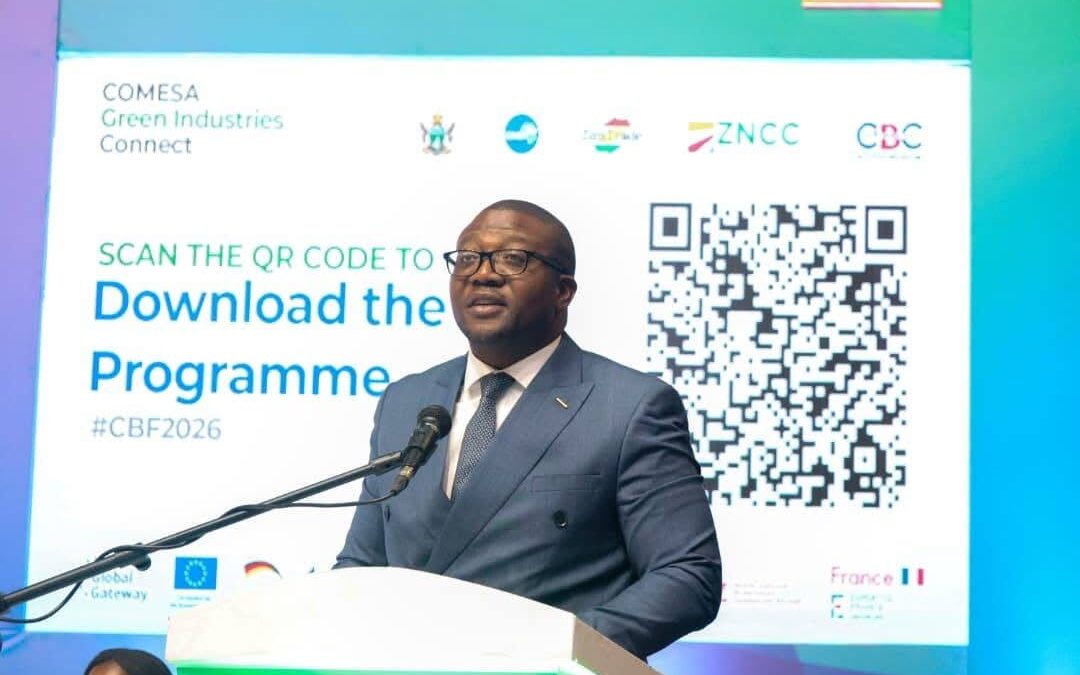 Industry Minister Ndlovu proposes Comesa circular fund to drive green industrialisation