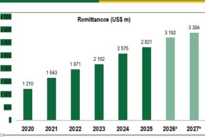 Diaspora remittances set to surpass US$3,2bn
