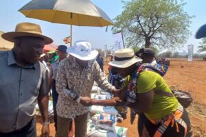 Rural women anchor Zimbabwe’s climate adaptation push – UNDP
