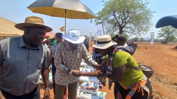 Rural women anchor Zimbabwe’s climate adaptation push – UNDP