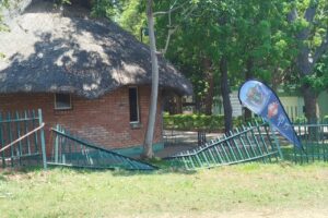Wild animals wreak havoc in Victoria Falls as parks dry up