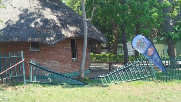 Wild animals wreak havoc in Victoria Falls as parks dry up