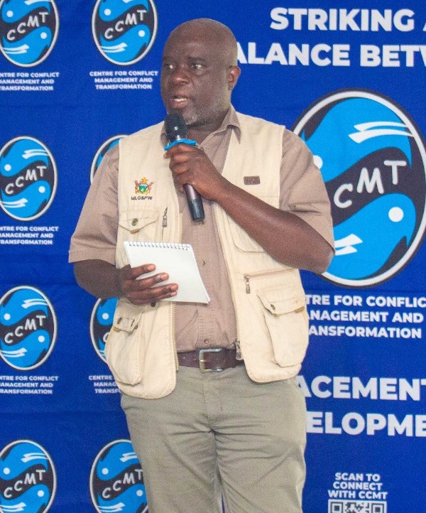 Mr Tarisai Mudadigwa