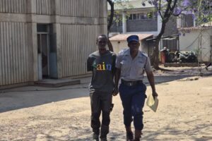 Gwanda serial rape, murder suspect arrested