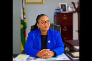 Zimbabwe drills 373 boreholes to improve sanitation in prisons, police cells