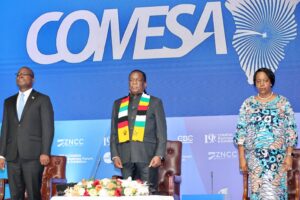 President pushes Comesa trade drive: Challenges member States to produce,  process more