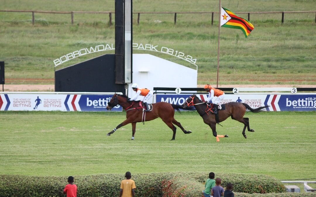 NEW: Where jacarandas meet the track: Borrowdale readies for the inaugural Purple Bloom & Pink Ribbons race meeting