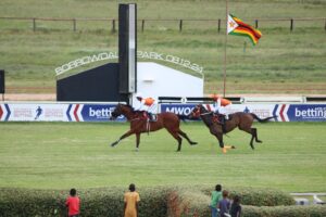 NEW: Where jacarandas meet the track: Borrowdale readies for the inaugural Purple Bloom & Pink Ribbons race meeting