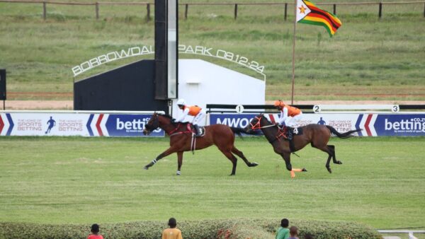 NEW: Where jacarandas meet the track: Borrowdale readies for the inaugural Purple Bloom & Pink Ribbons race meeting