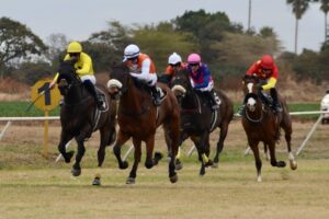 Purple Blooms, Pink Ribbons and the Thrill of the Race . . .an afternoon of horse racing, music and cancer awareness