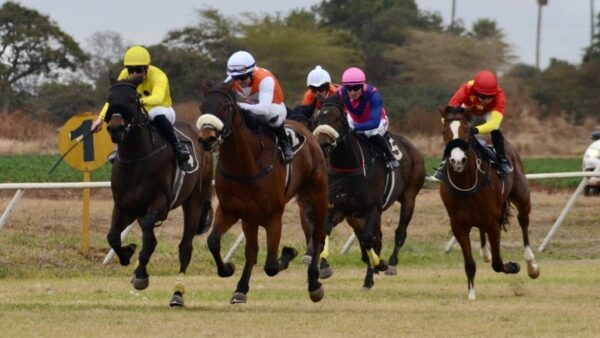 Purple Blooms, Pink Ribbons and the Thrill of the Race . . .an afternoon of horse racing, music and cancer awareness