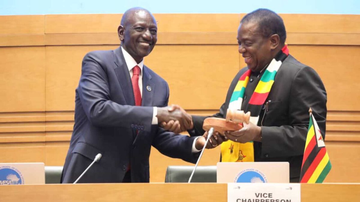 President Mnangagwa takes over as COMESA Chairperson