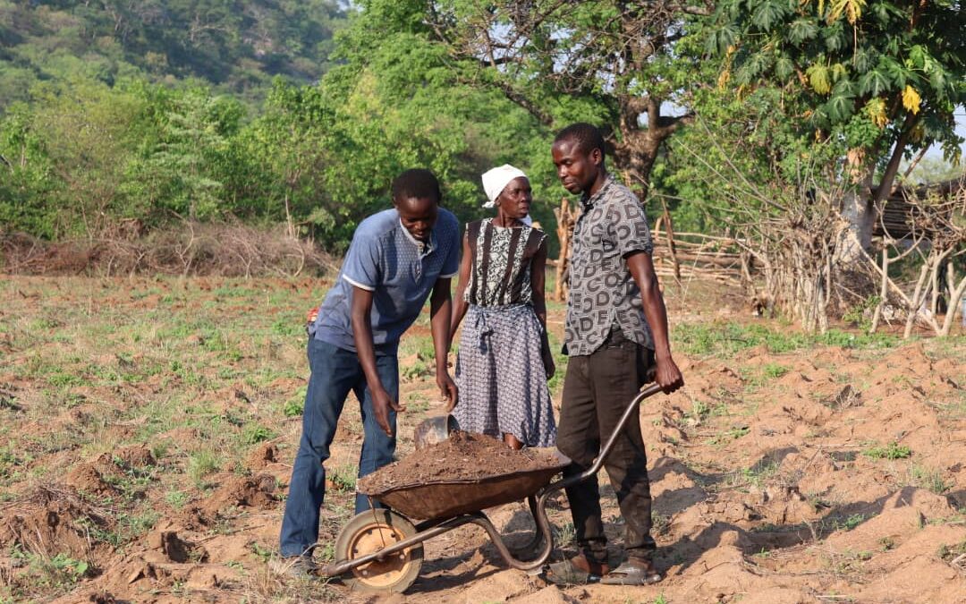 WATCH: Masvingo triples Pfumvudza target ahead of predicted Super El Niño