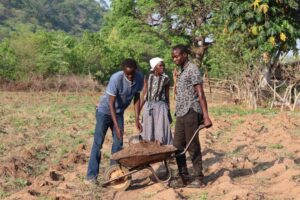 WATCH: Masvingo triples Pfumvudza target ahead of predicted Super El Niño