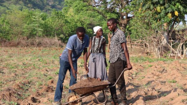 WATCH: Masvingo triples Pfumvudza target ahead of predicted Super El Niño