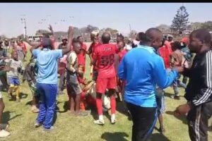 Hwange roar back into PSL
