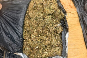 Another mbanje contraband intercepted at the Limpopo River