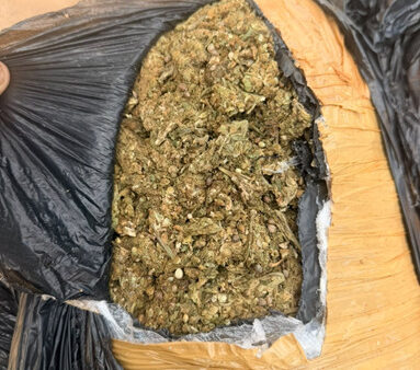Another mbanje contraband intercepted at the Limpopo River