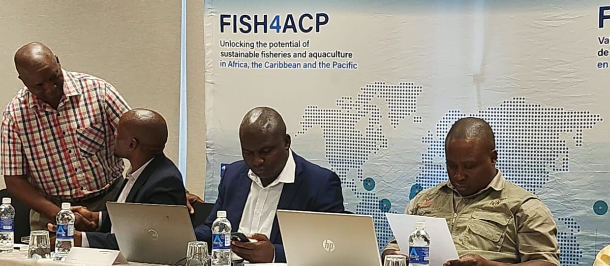 Zimbabwe aquaculture drive gets boost from new fish farming guidelines