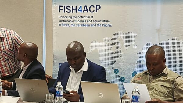 Zimbabwe aquaculture drive gets boost from new fish farming guidelines