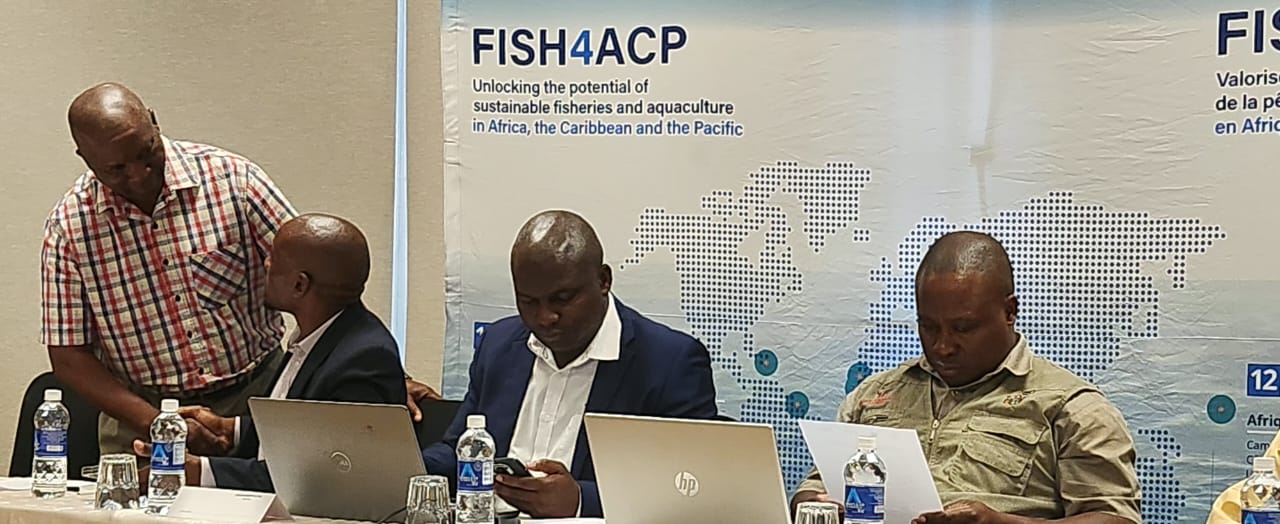 Zimbabwe aquaculture drive gets boost from new fish farming guidelines ...