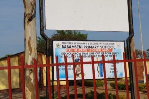 ZETDC acts on dangerous pole at Babambeni Primary