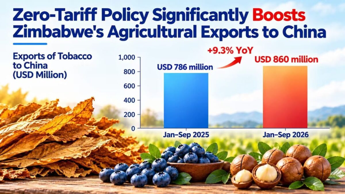 China-Zimbabwe trade surges 51,6pc to US$5bn – herald
