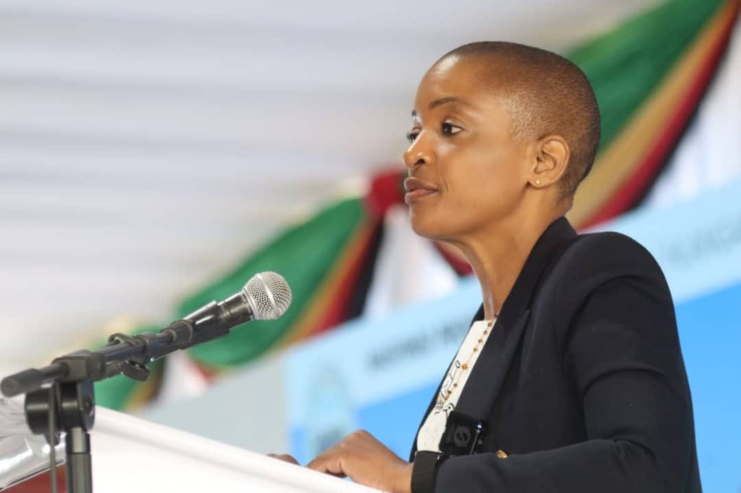 WATCH: Mosi-oa-Tunya to drive Bulawayo smart conferencing city – herald