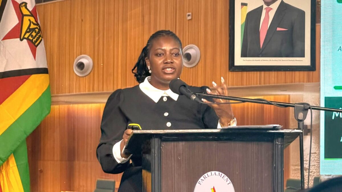 Tourism sector seeks increased 2027 Budget funding