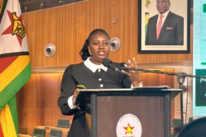Tourism sector seeks increased 2027 Budget funding