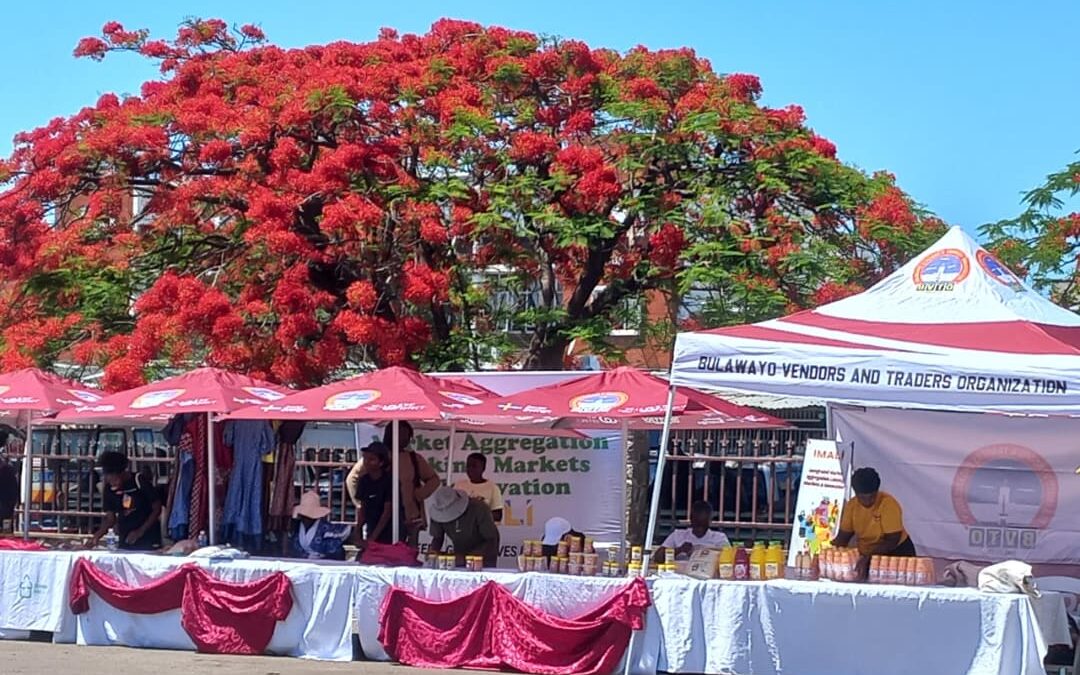 MSMEs Summer Expo kicks off in Bulawayo