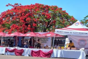 MSMEs Summer Expo kicks off in Bulawayo