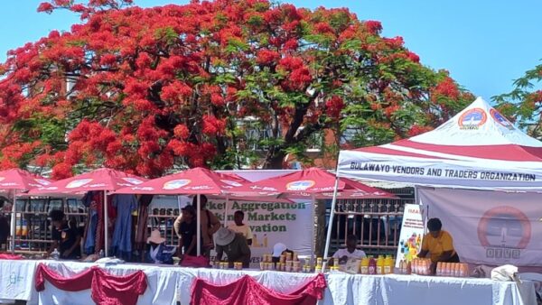 MSMEs Summer Expo kicks off in Bulawayo