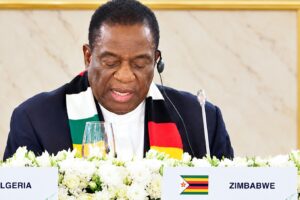 ‘Partner Russia to speed up Africa’s industrialisation’ President pushes for cooperation with  tangible results