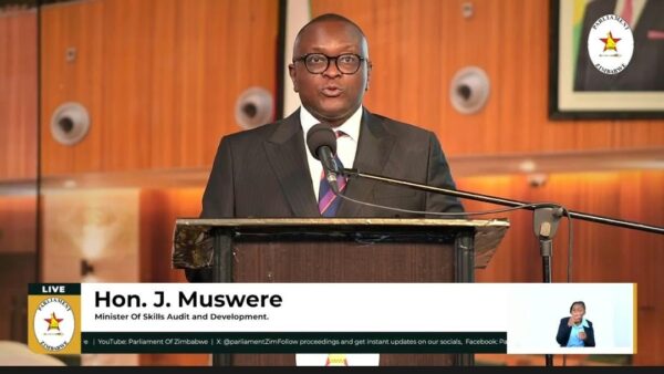 Bulawayo earmarked for AI, robotics training centre