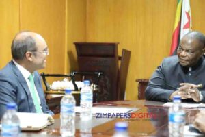 Zimbabwe, Pakistan target stronger trade ties