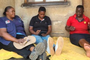 ZIMSTAT rolls out household, FinScope surveys