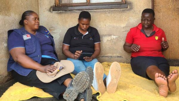 ZIMSTAT rolls out household, FinScope surveys